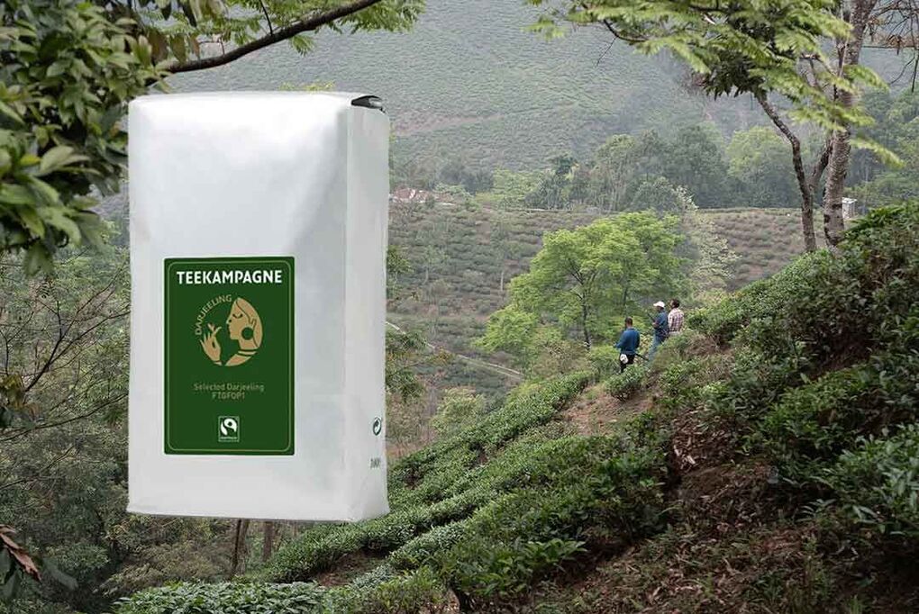 Eine Packung der Teekampagne vor einem Teegarten am Hang